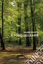 Il pozzo delle fate libro