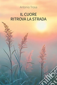 Il cuore ritrova la strada libro