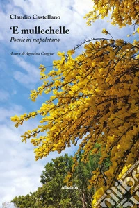 'E mullechelle. Poesie in napoletano libro