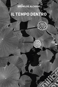 Il tempo dentro libro