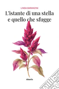 L'istante di una stella e quello che sfugge libro