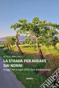 La strada per andare dai nonni. Viaggi nei luoghi della mia adolescenza libro