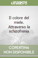 Il colore del miele. Attraverso la schizofrenia libro