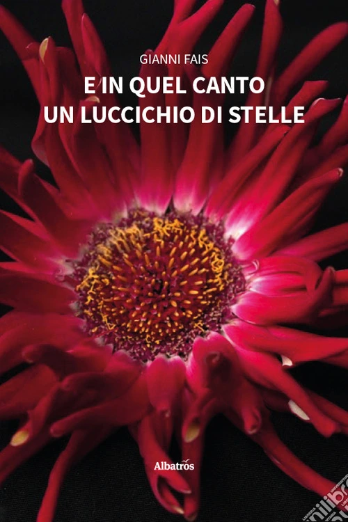 E in quel canto un luccichio