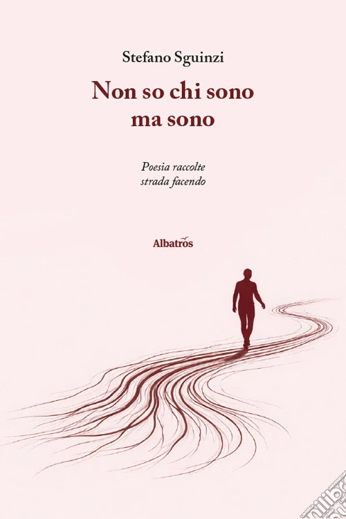 Non so chi sono ma sono. Poesie raccolte strada facendo
