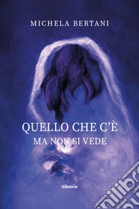 Quello che c'è ma non si vede libro