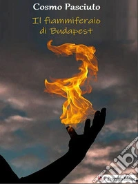 Il fiammiferaio di Budapest. Nuova ediz. libro