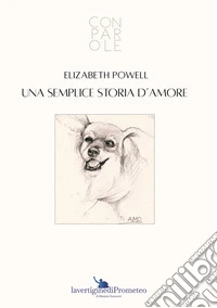 Una semplice storia d'amore libro