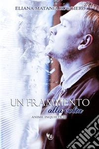 Un frammento alla volta. Anime inquiete. Vol. 2 libro