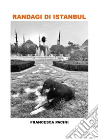 Randagi di Istanbul