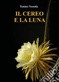 Il cereo e la luna libro
