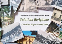 Cartoline da Bivigliano libro