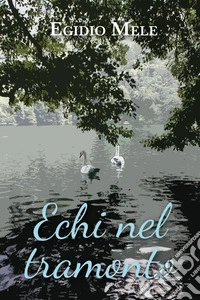 Echi nel tramonto libro