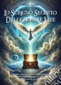 Lo scrigno segreto delle nostre vite libro