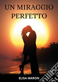 Un miraggio perfetto libro
