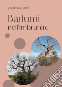 Barlumi nell'imbrunire libro
