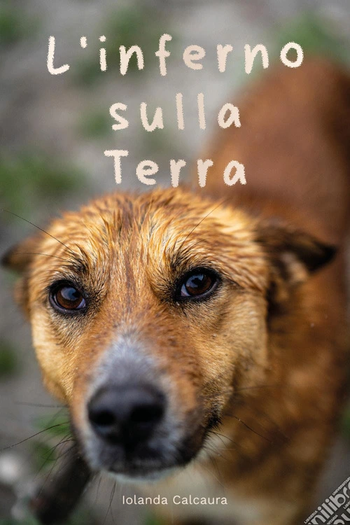 L'inferno sulla terra