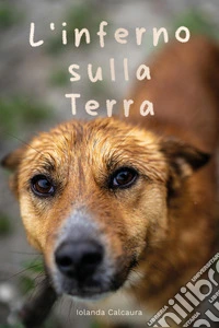 L'inferno sulla terra libro