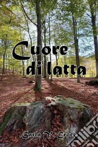 Cuore di latta libro