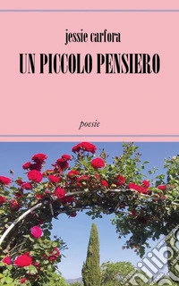 Un piccolo pensiero libro