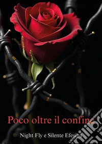 Poco oltre il confine libro
