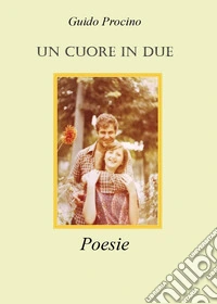 Un cuore in due libro