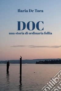 DOC una storia di ordinaria follia libro