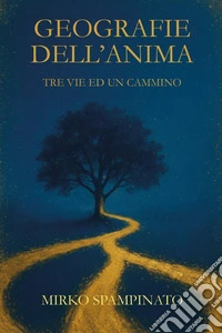 Geografie dell'anima. Tre vie ed un cammino libro