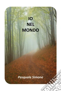 Io nel mondo