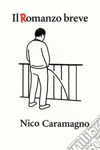 Il romanzo breve libro