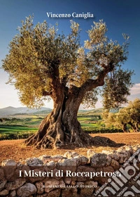 I misteri di Roccapetrosa libro