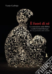 È fuori di sé. La narrazione nella Bibbia e nella Gestalt Therapy. Per una grammatica delle emozioni libro