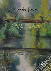Stelle cadenti libro