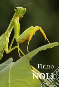 Noli libro