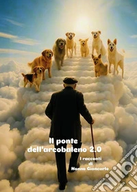 Il ponte dell'arcobaleno 2.0 libro