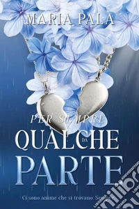 Per sempre, da qualche parte libro