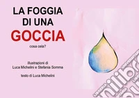 La foggia della goccia. Cosa cela? Ediz. a colori libro