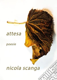 Attesa libro