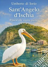Sant'Angelo d'Ischia. Il paese che respira piano libro