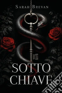 Sotto chiave libro