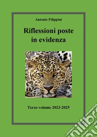 Riflessioni poste in evidenza. Vol. 3