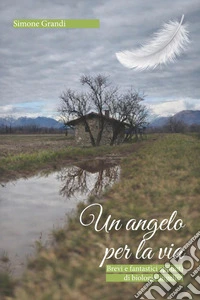Un angelo per la via. Brevi e fantastici appunti di biologia angelica libro