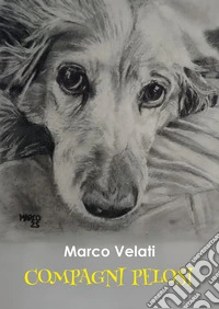 Compagni pelosi libro