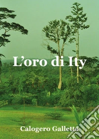 L'oro di Ity libro