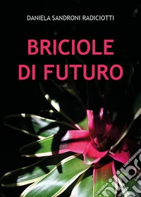 Briciole di futuro libro