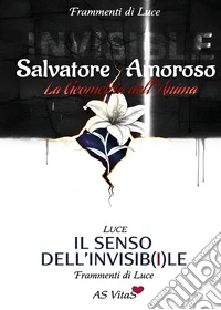 Il senso dell'invisibile. La geometria dell'anima libro