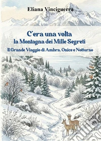 C'era una volta la montagna dei mille segreti. Il grande viaggio di Ambra, Onice e Notturno libro