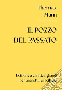 Il pozzo del passato libro