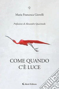 Come quando c'è luce libro