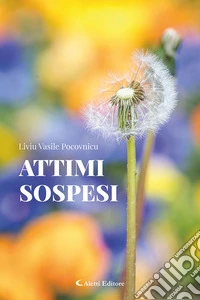 Attimi sospesi libro